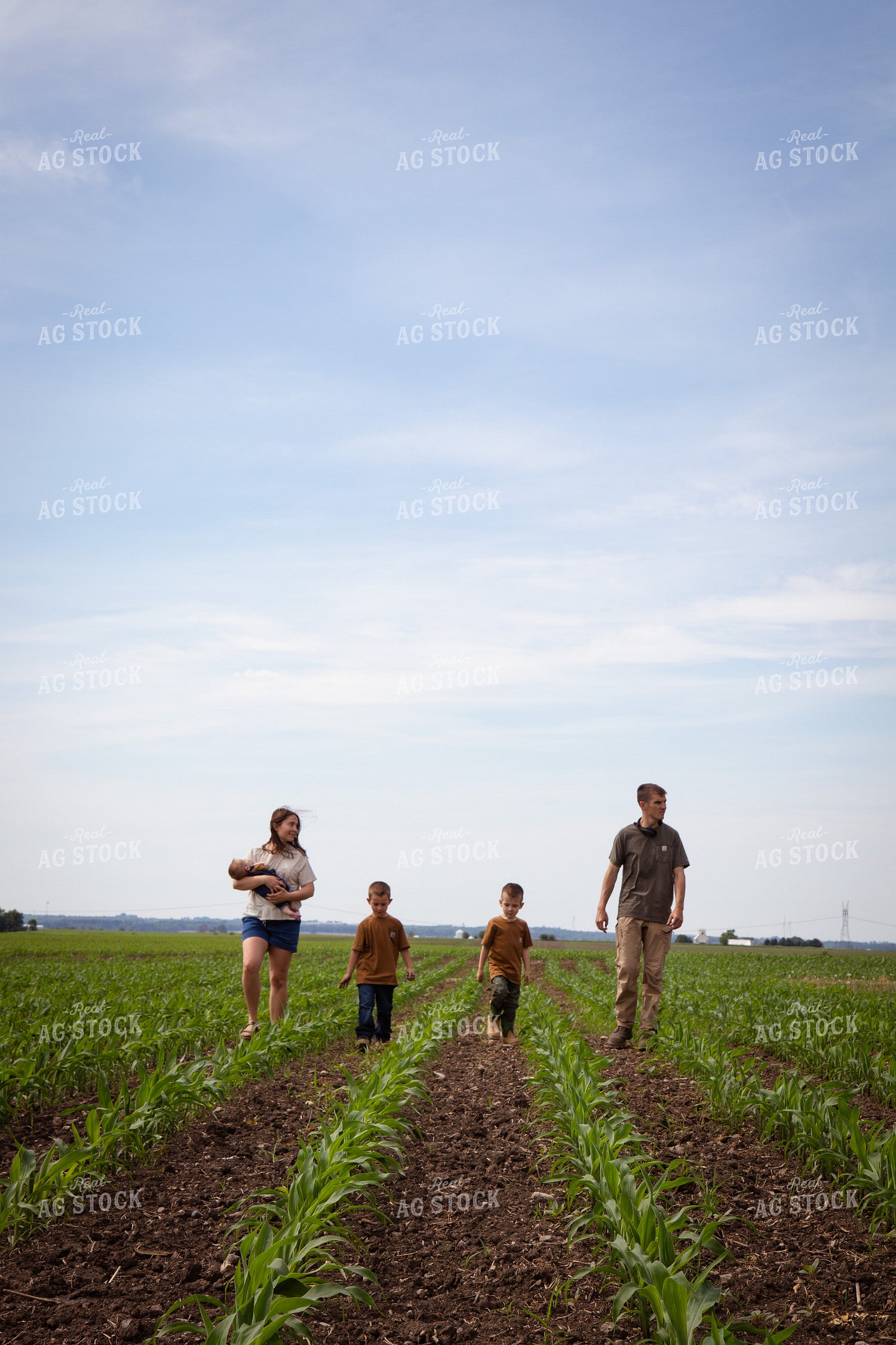 Farm Family Checking Early Growth Corn 268302