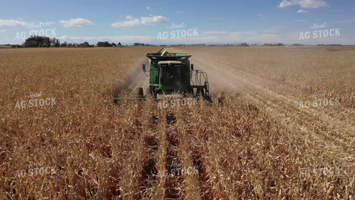 Harvesting Corn Drone 56314