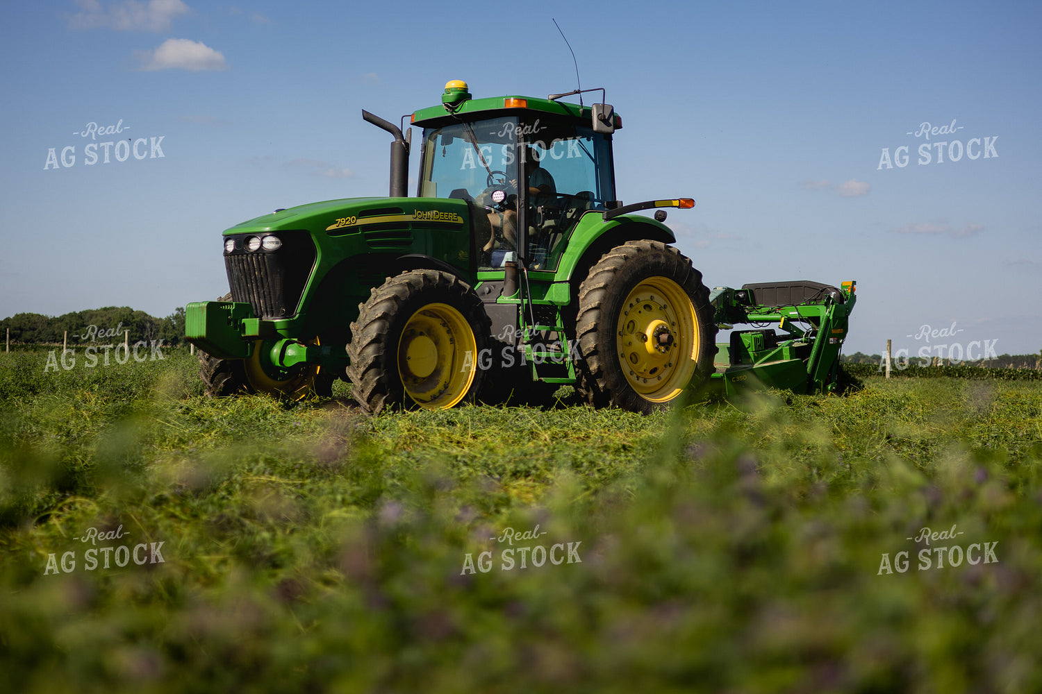 Mowing Hay 281012