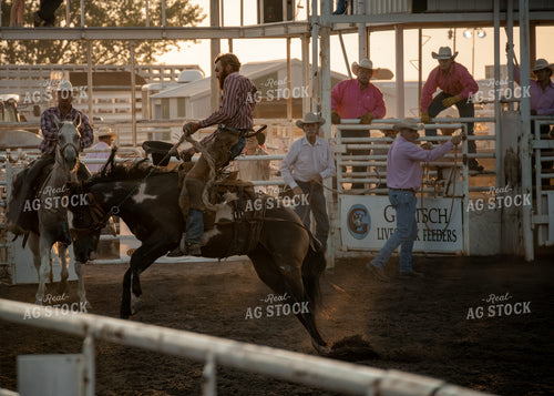 Rodeo 65458