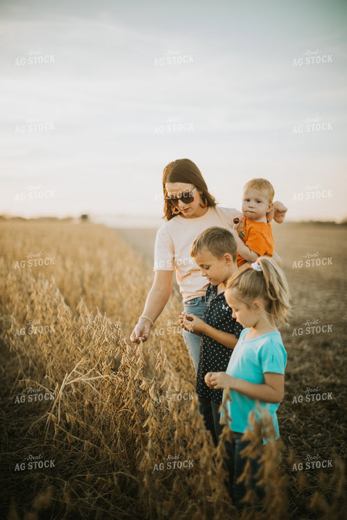 Farm Family Touching Soybeans in Field 6957
