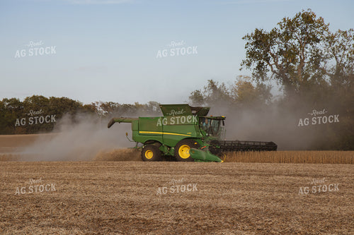 Soybean Harvest 67265