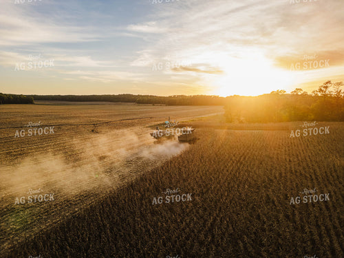 Aerial of Corn Harvest 115387
