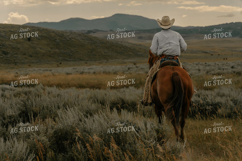 Rancher on Horseback 58285
