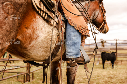 Rancher Roping Cattle on Ranch on Horseback 225013