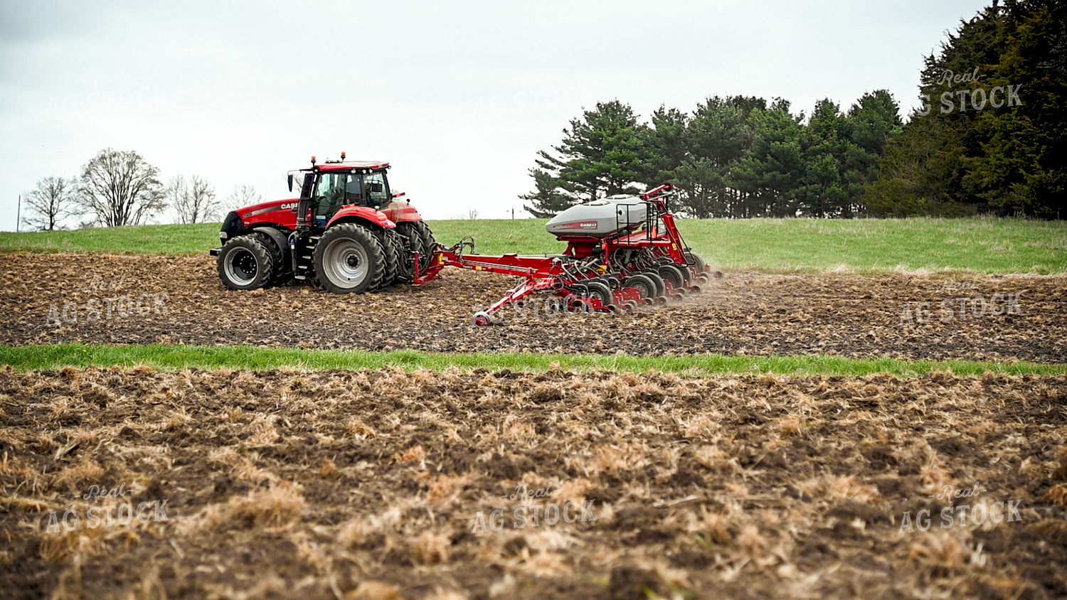 Planting into Tilled Cover Crops 25158