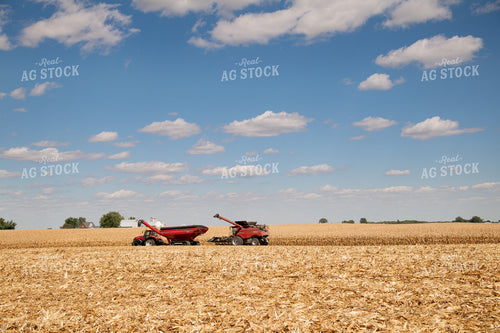 Combine and Grain Cart Harvesting Corn on Sunny Day 25881