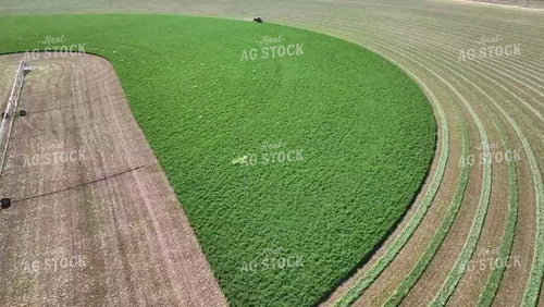 Cutting Alfalfa Field Drone 56403