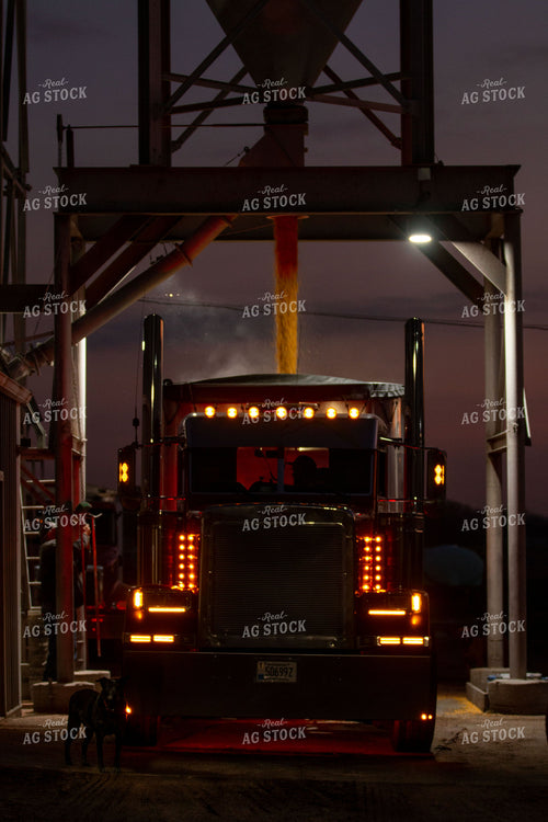 Loading Semi 157155
