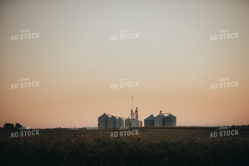 Grain Elevator with Soybean Field 4766