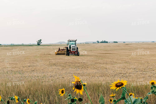 Tractor in Hay Field 61022