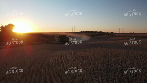 Aerial Drone of Soybean Harvest at Sunset in Field with Terraces 7370