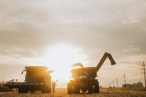 Family by Combine and Auger Cart at Sunset 5264