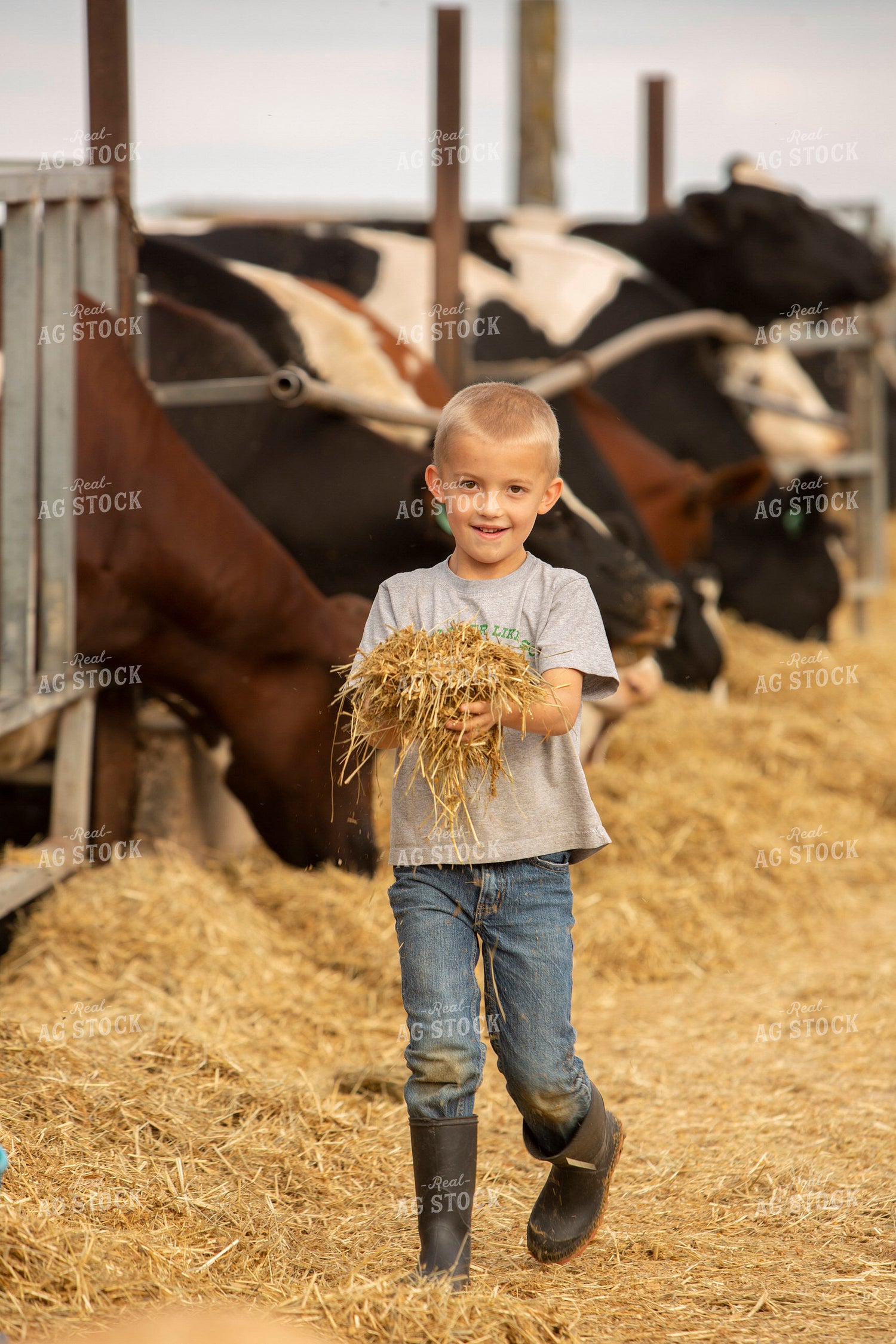 Dairy 2736