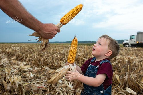 Farmer and Son in Field 129063