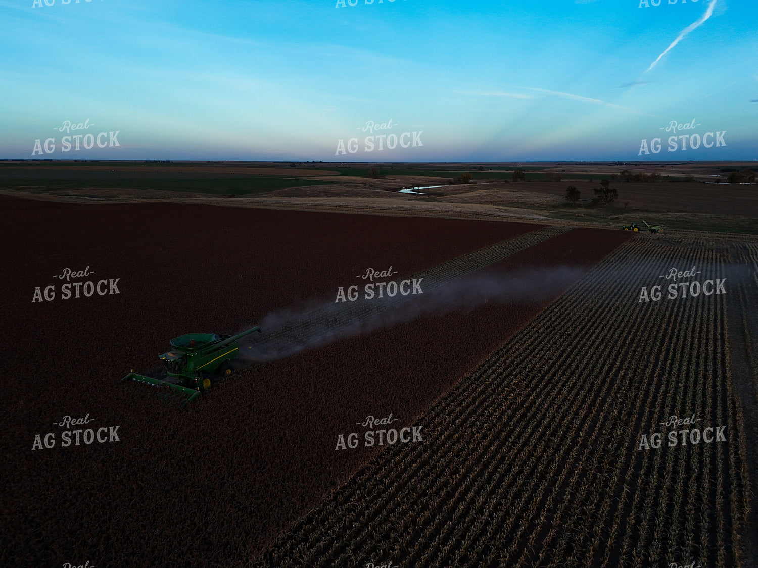 Milo Harvest 239426