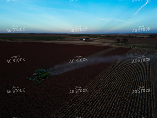 Milo Harvest 239426