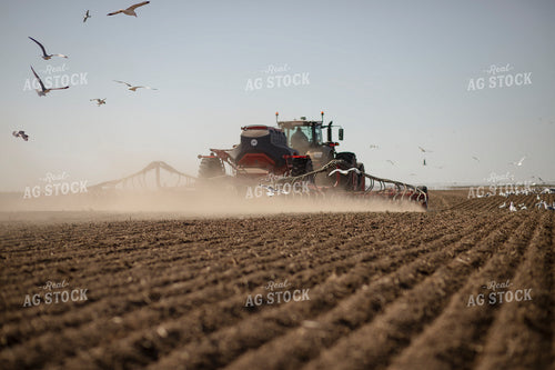 Disc Seeder 135067