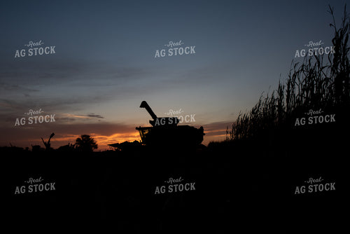 Combine Silhouette in Corn Field 76050