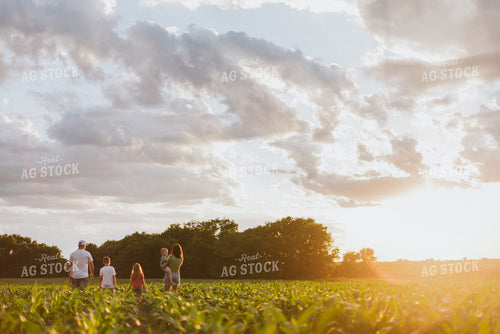 Farm Family Checking Corn 8817