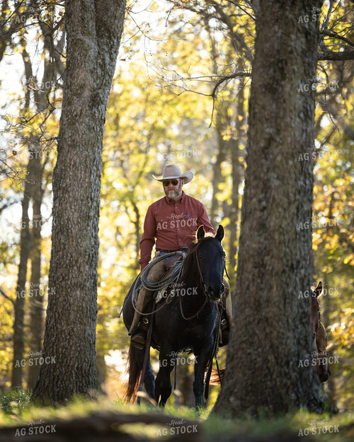 Cowboy on Horseback in Trees 219153