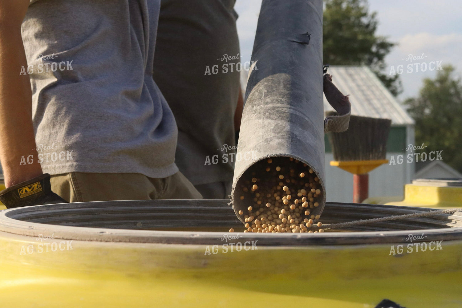 Filling Soybeans in Planter 109155