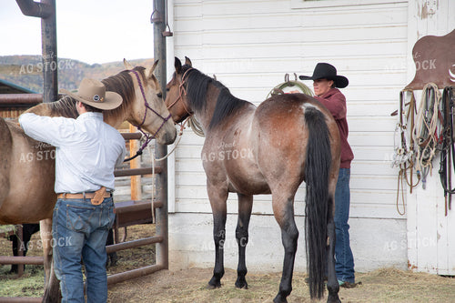 Ranchers Tacking Horse 117152