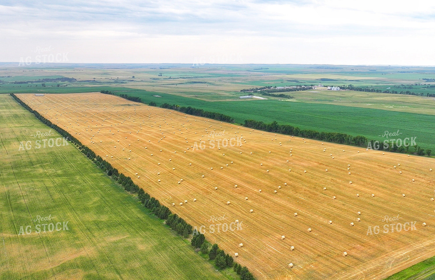 Aerial of Straw Bales 141657
