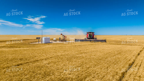 Wheat Harvest 199060