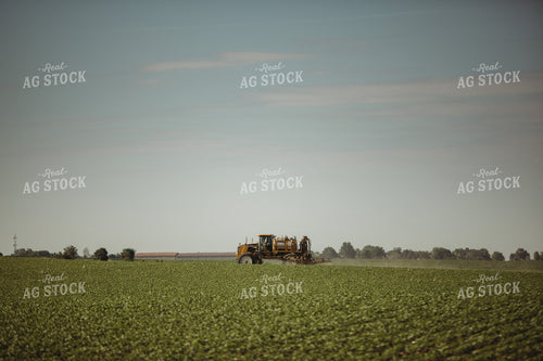 Spraying Soybeans 4371