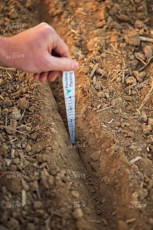 Farmer Checks Seed Depth After Planting 93207