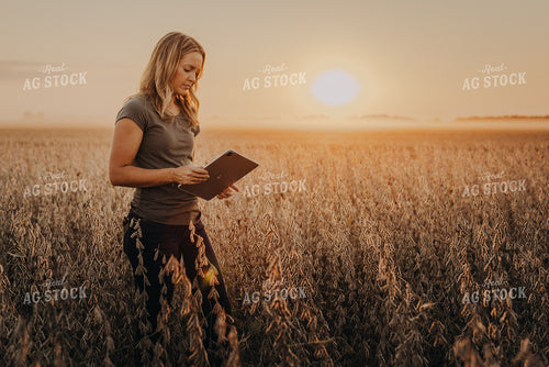 Female Agronomist Checking Soybeans 9260