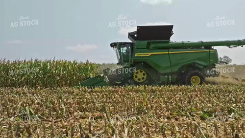 Corn Harvest 92063