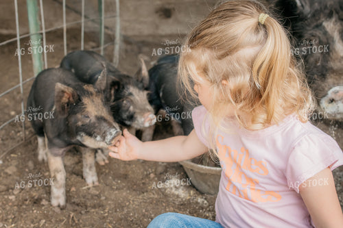 Farm Kids with Pigs 218053