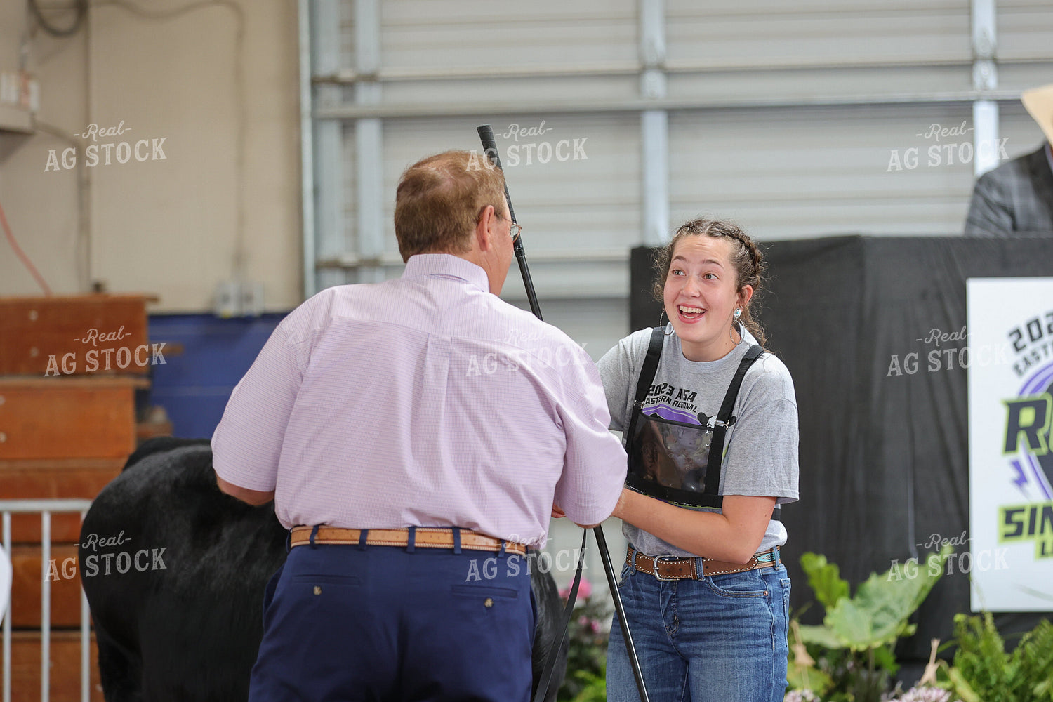 Exhibitor at Cattle Show 52623