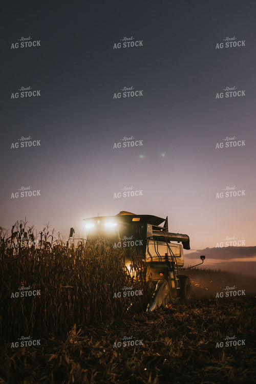 Corn Harvest 9415