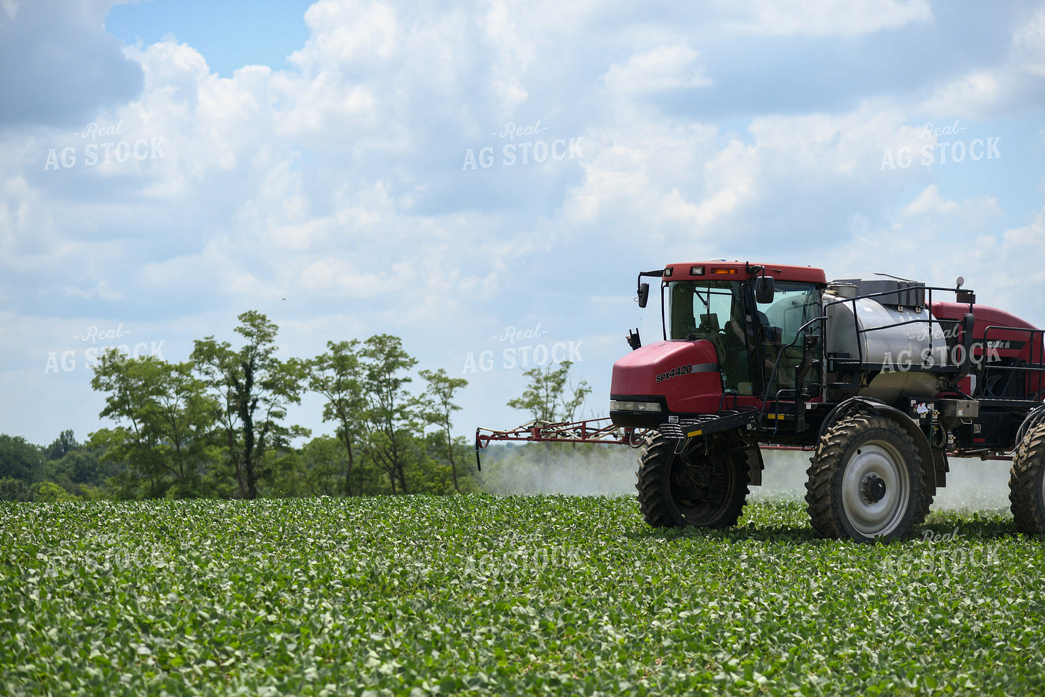 Spraying 191219