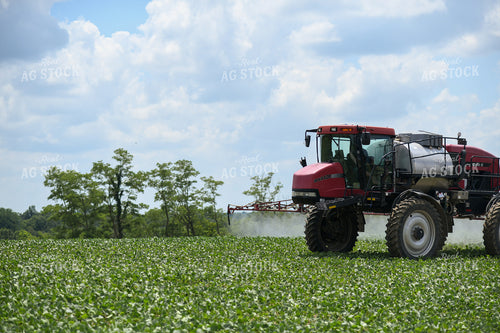 Spraying 191219