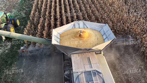 Corn Harvest 79884