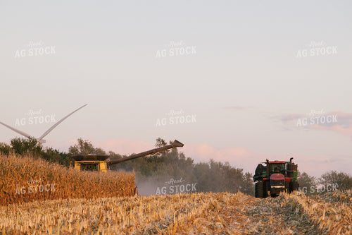 Nebraska Corn Harvest 70002