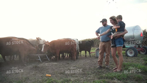 Farm Family in the Cattle Pasture - 387