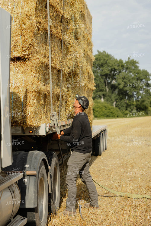 Farmer Securing Straw Bales 296084