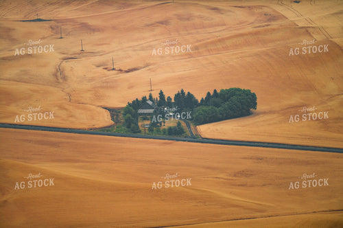 Rural Countryside with Rolling Hills 129045