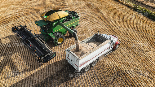 Wheat Harvest 187104