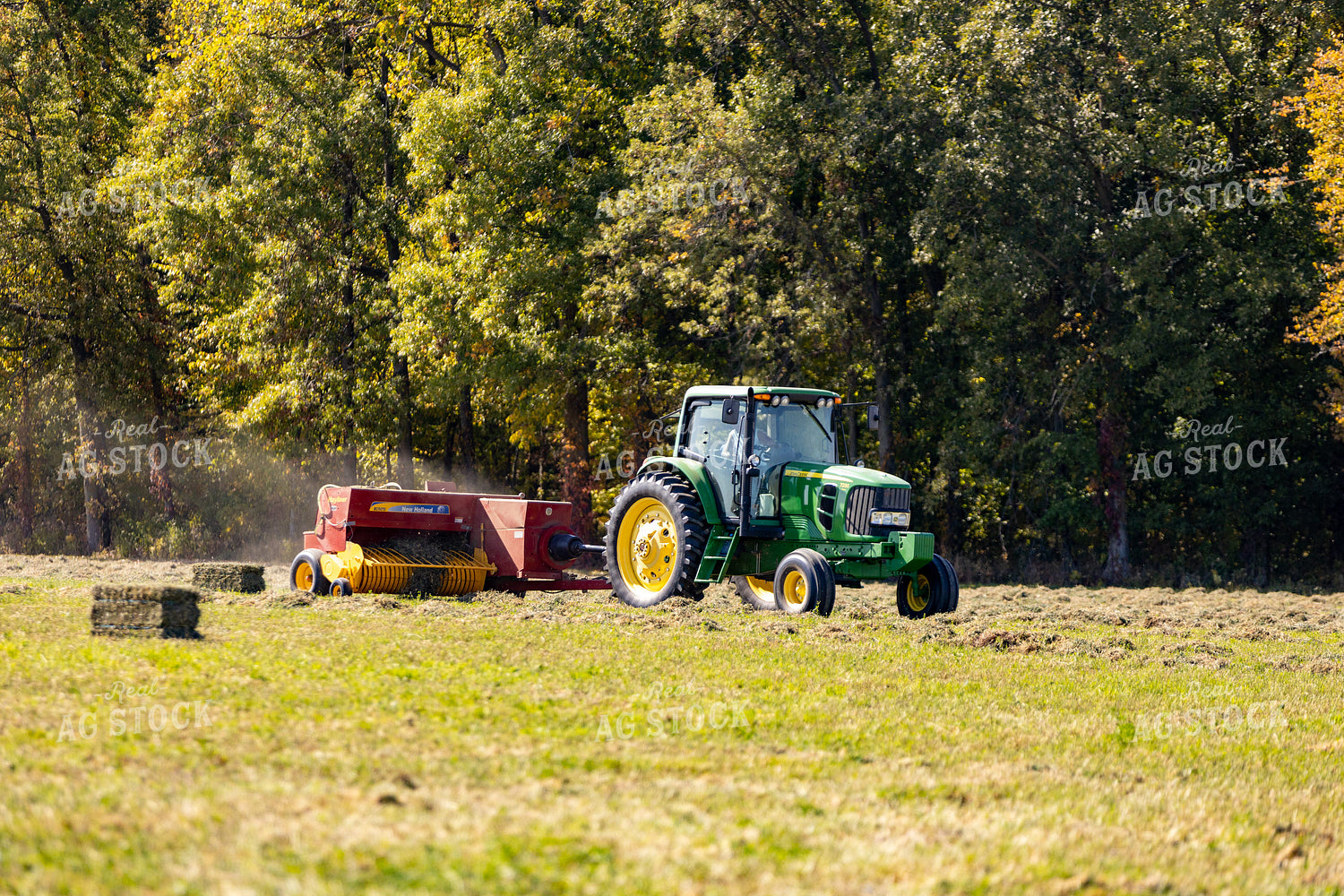 Baling Straw 90119