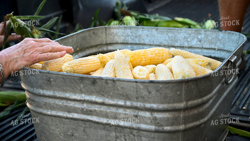 Sweet Corn 25247