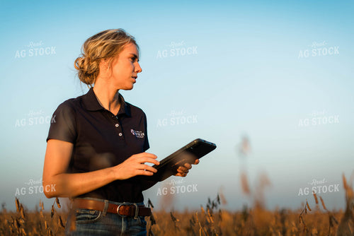 Female Agronomist on Tablet in Field 8332
