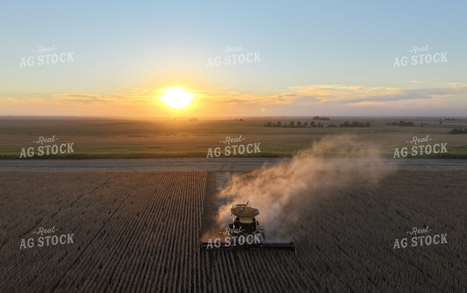 Soybean Harvest 141418