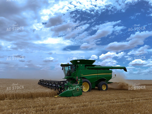 Wheat Harvest 239286