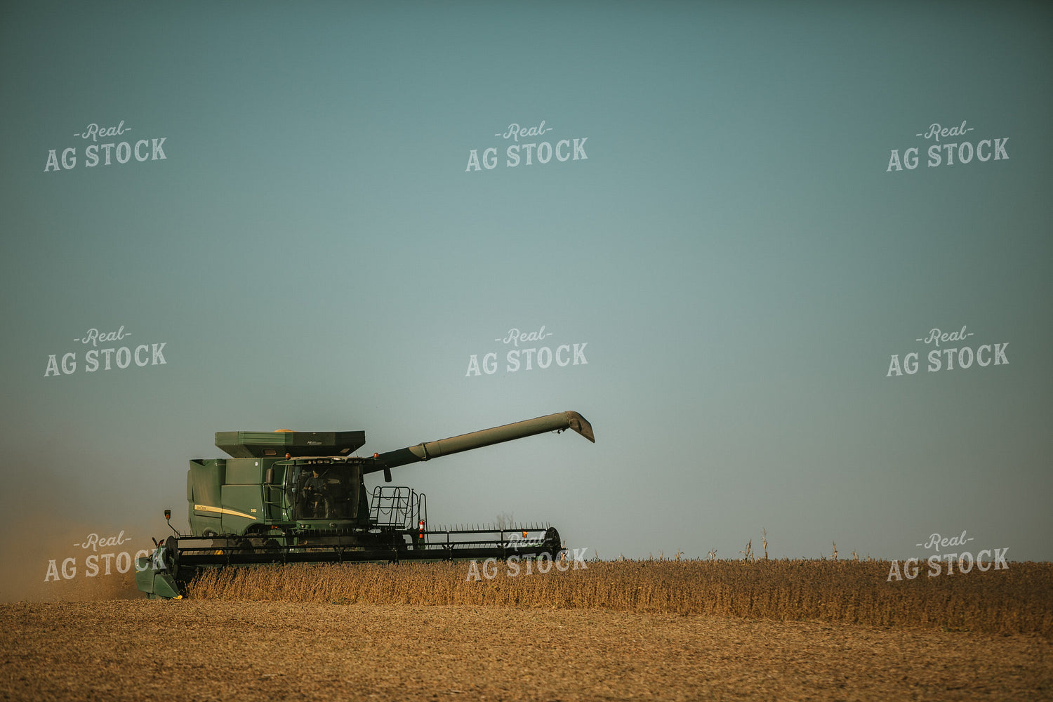 Combine Cutting Soybeans 4778